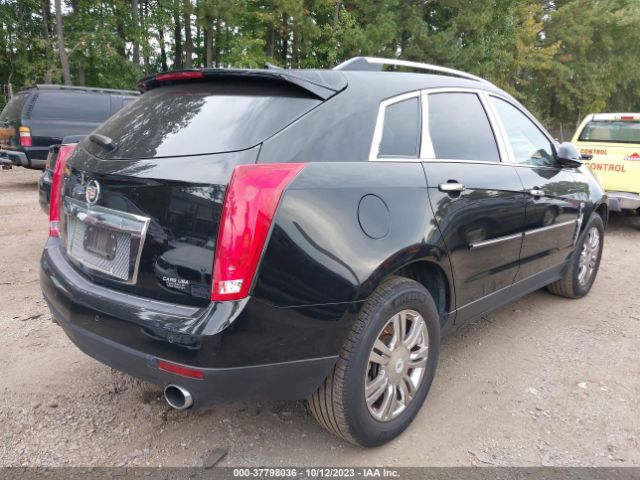 Photo 3 VIN: 3GYFNDEY5BS514479 - CADILLAC SRX 