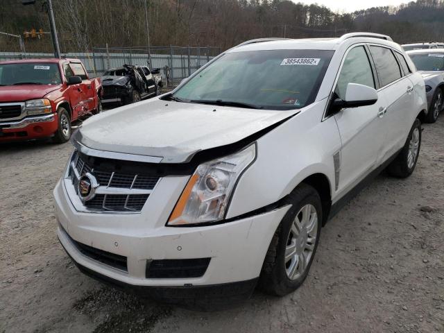 Photo 1 VIN: 3GYFNDEY5BS555341 - CADILLAC SRX LUXURY 