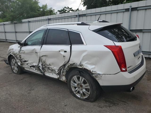 Photo 1 VIN: 3GYFNDEY5BS559731 - CADILLAC SRX 