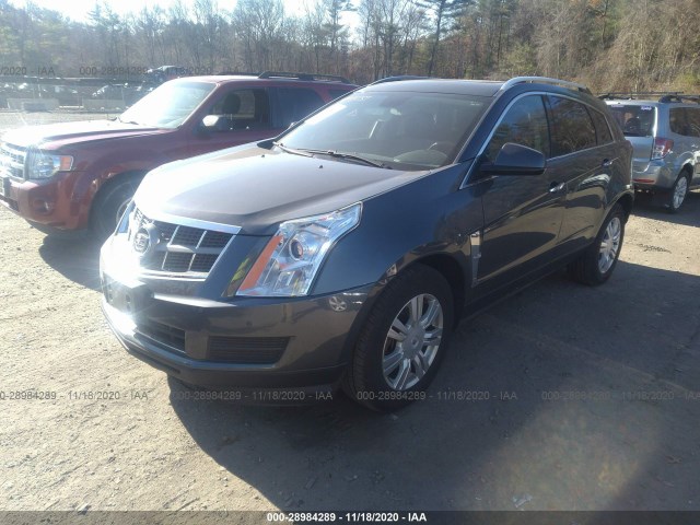 Photo 1 VIN: 3GYFNDEY5BS614100 - CADILLAC SRX 