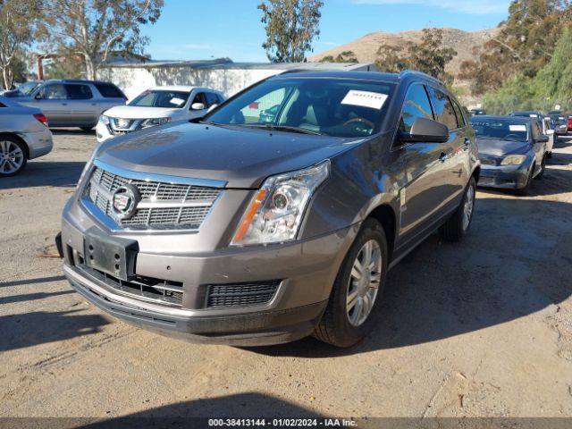 Photo 1 VIN: 3GYFNDEY5BS629924 - CADILLAC SRX 