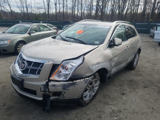 Photo 1 VIN: 3GYFNDEY5BS659215 - CADILLAC SRX LUXURY 