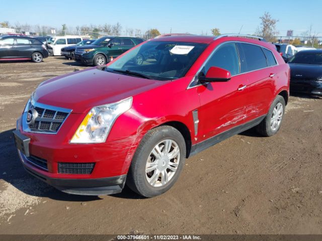 Photo 1 VIN: 3GYFNDEY6AS556447 - CADILLAC SRX 