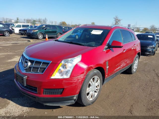 Photo 5 VIN: 3GYFNDEY6AS556447 - CADILLAC SRX 