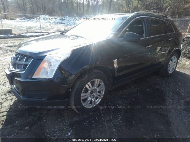 Photo 1 VIN: 3GYFNDEY6AS576746 - CADILLAC SRX 