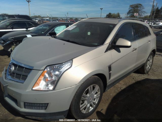 Photo 1 VIN: 3GYFNDEY6AS600592 - CADILLAC SRX 