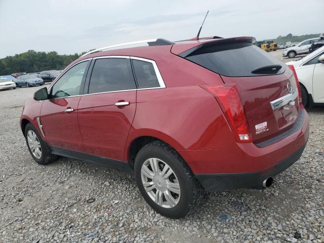 Photo 1 VIN: 3GYFNDEY6AS604870 - CADILLAC SRX LUXURY 