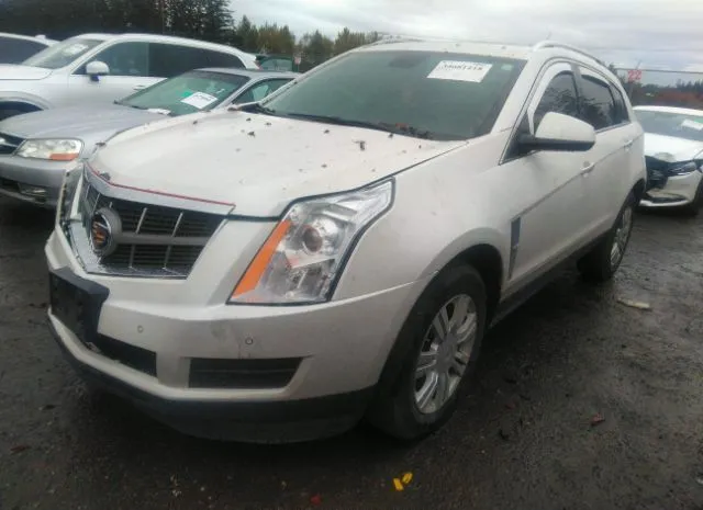 Photo 1 VIN: 3GYFNDEY6AS623449 - CADILLAC SRX 