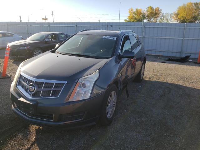 Photo 1 VIN: 3GYFNDEY6AS628764 - CADILLAC SRX LUXURY 