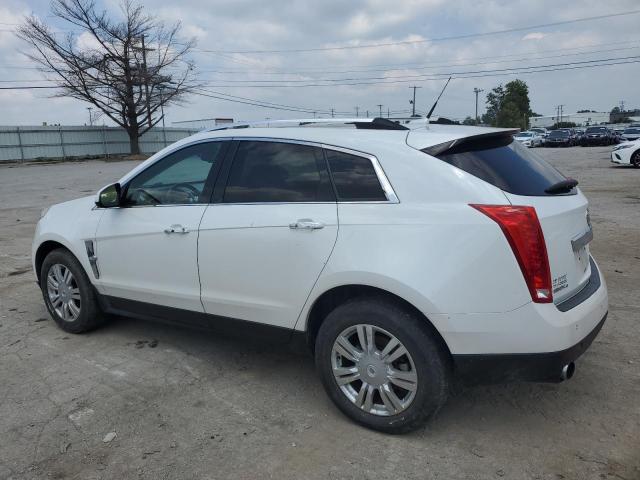 Photo 1 VIN: 3GYFNDEY6BS614204 - CADILLAC SRX 