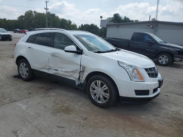 Photo 3 VIN: 3GYFNDEY6BS614204 - CADILLAC SRX 