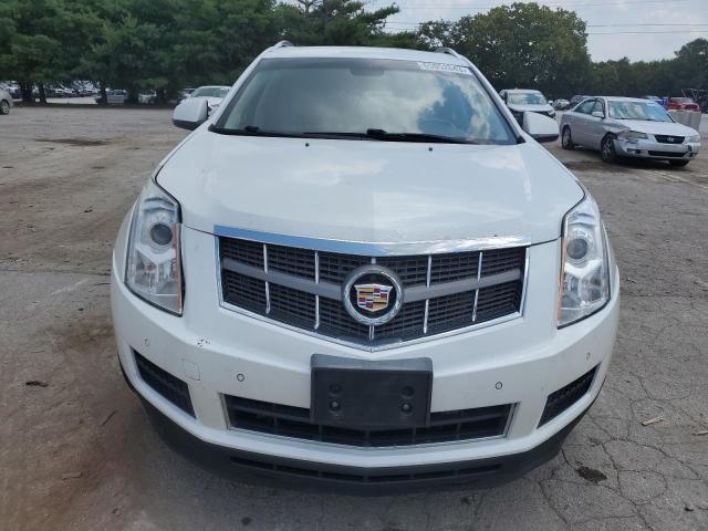 Photo 4 VIN: 3GYFNDEY6BS614204 - CADILLAC SRX 