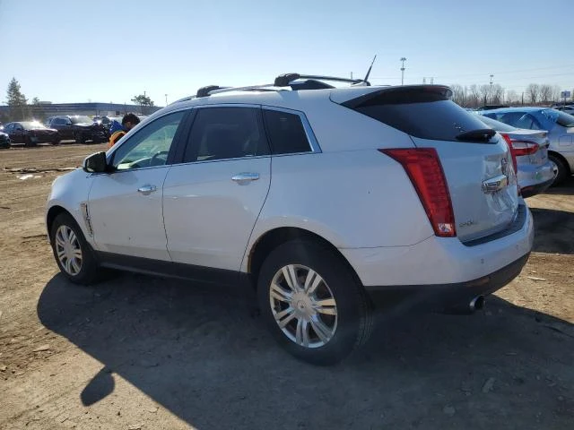 Photo 1 VIN: 3GYFNDEY7AS632175 - CADILLAC SRX LUXURY 