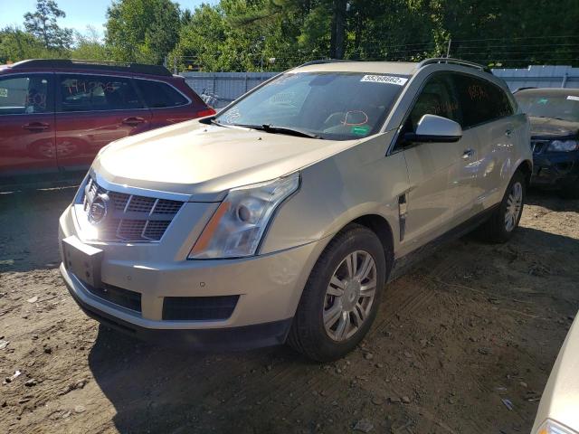 Photo 1 VIN: 3GYFNDEY7AS638235 - CADILLAC SRX 