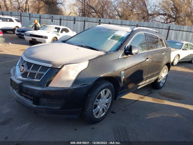 Photo 1 VIN: 3GYFNDEY7BS546673 - CADILLAC SRX 