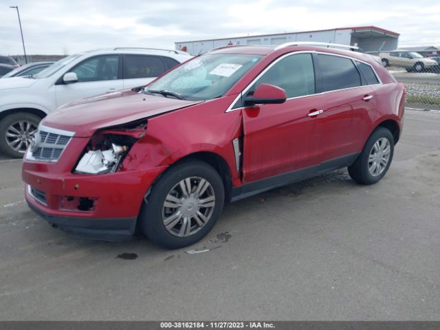 Photo 1 VIN: 3GYFNDEY7BS553607 - CADILLAC SRX 