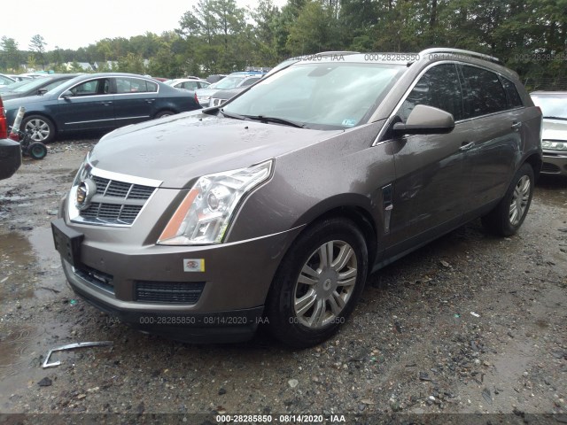 Photo 1 VIN: 3GYFNDEY7BS605611 - CADILLAC SRX 