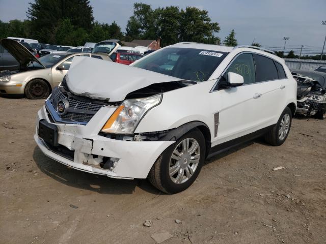 Photo 1 VIN: 3GYFNDEY7BS611313 - CADILLAC SRX LUXURY 