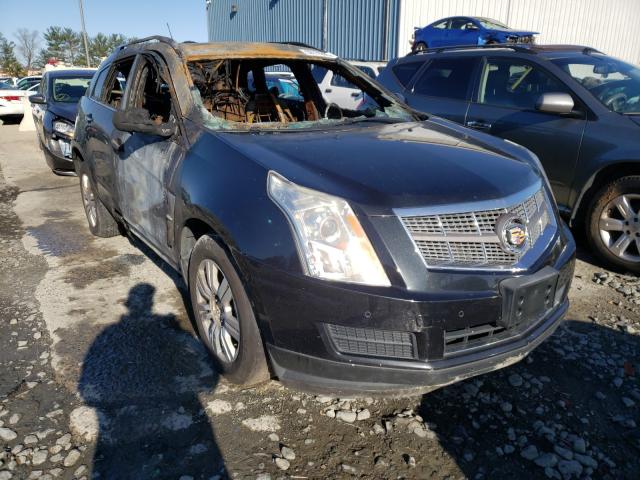 Photo 0 VIN: 3GYFNDEY7BS667932 - CADILLAC SRX LUXURY 