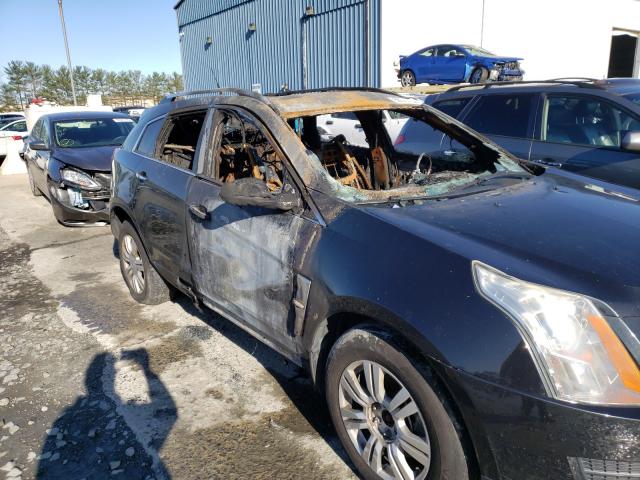 Photo 8 VIN: 3GYFNDEY7BS667932 - CADILLAC SRX LUXURY 