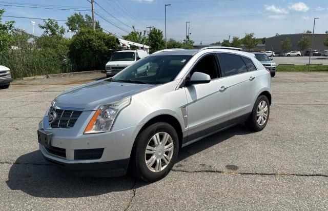 Photo 1 VIN: 3GYFNDEY7BS671236 - CADILLAC SRX 