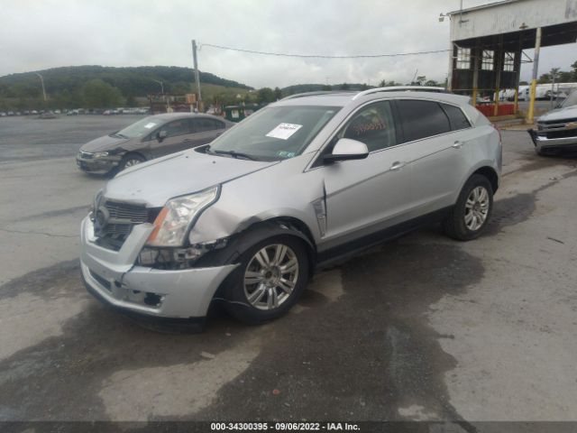 Photo 1 VIN: 3GYFNDEY8AS511106 - CADILLAC SRX 