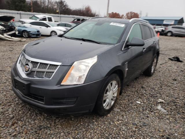 Photo 0 VIN: 3GYFNDEY8AS555669 - CADILLAC SRX LUXURY 