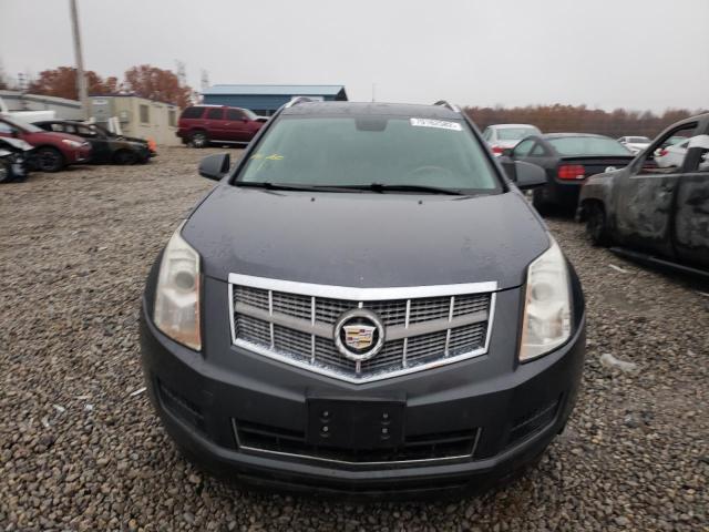 Photo 4 VIN: 3GYFNDEY8AS555669 - CADILLAC SRX LUXURY 