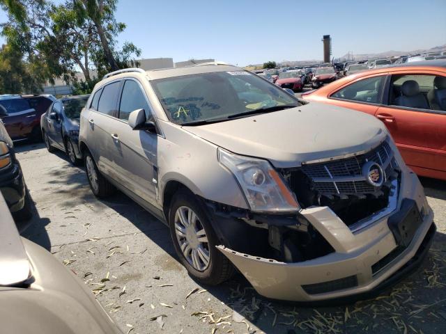 Photo 0 VIN: 3GYFNDEY8AS630595 - CADILLAC SRX LUXURY 