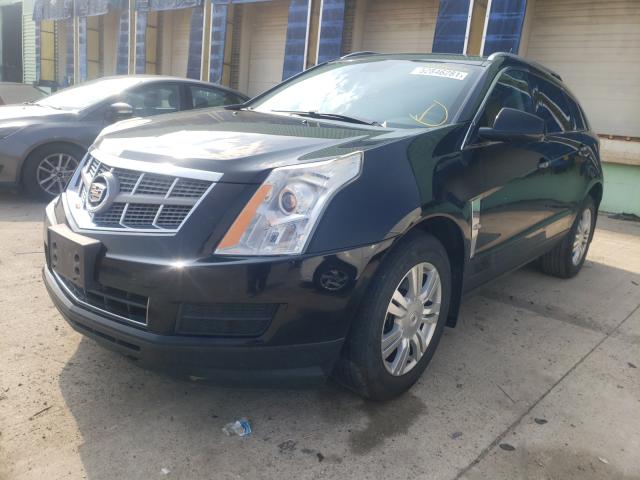 Photo 1 VIN: 3GYFNDEY8AS649812 - CADILLAC SRX LUXURY 