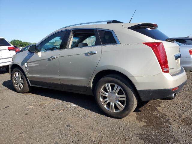 Photo 1 VIN: 3GYFNDEY8BS536203 - CADILLAC SRX 