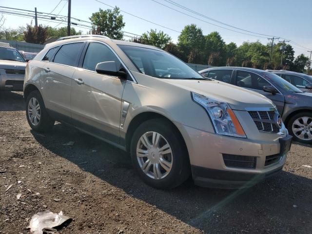 Photo 3 VIN: 3GYFNDEY8BS536203 - CADILLAC SRX 