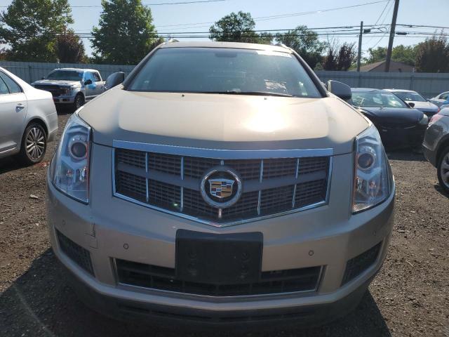 Photo 4 VIN: 3GYFNDEY8BS536203 - CADILLAC SRX 