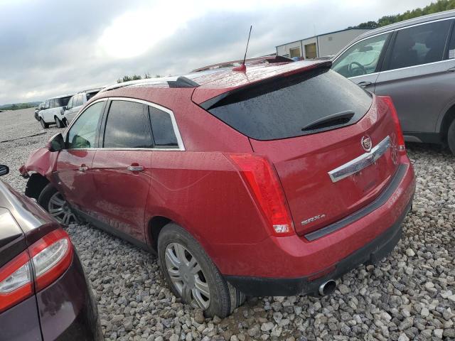 Photo 1 VIN: 3GYFNDEY8BS557262 - CADILLAC SRX LUXURY 