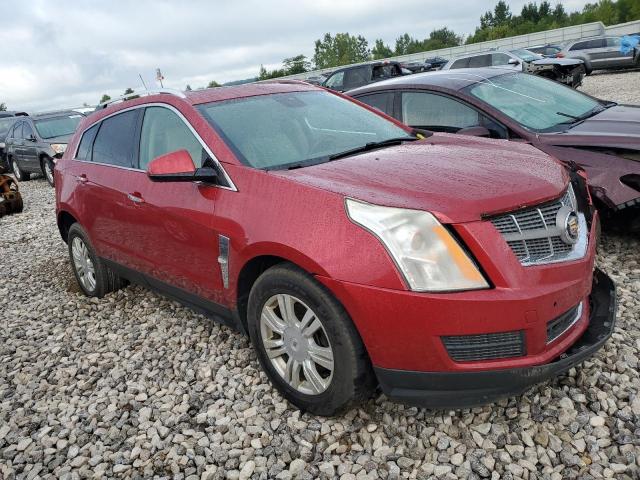 Photo 3 VIN: 3GYFNDEY8BS557262 - CADILLAC SRX LUXURY 