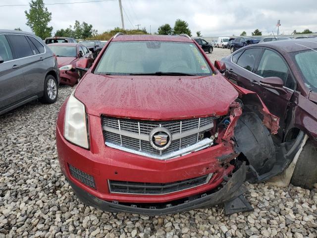 Photo 4 VIN: 3GYFNDEY8BS557262 - CADILLAC SRX LUXURY 