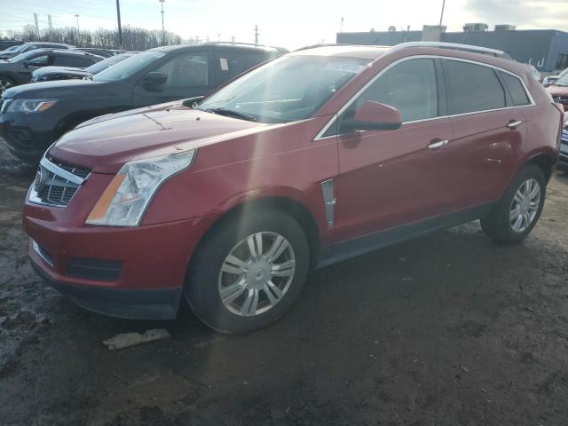 Photo 0 VIN: 3GYFNDEY8BS568259 - CADILLAC SRX 