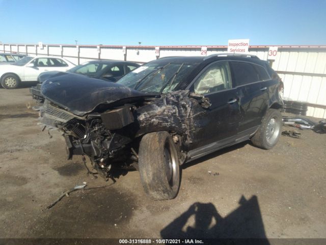 Photo 1 VIN: 3GYFNDEY8BS594134 - CADILLAC SRX 