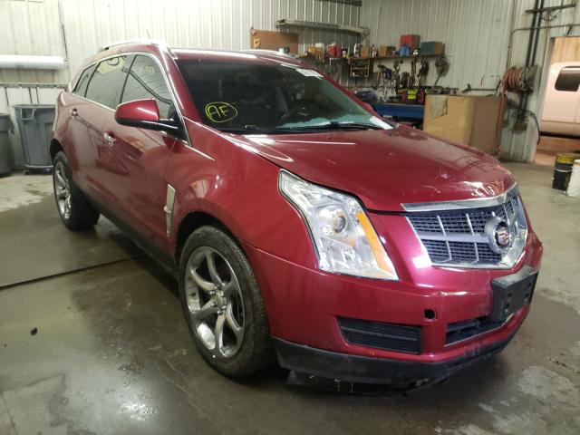 Photo 0 VIN: 3GYFNDEY8BS603852 - CADILLAC SRX LUXURY 