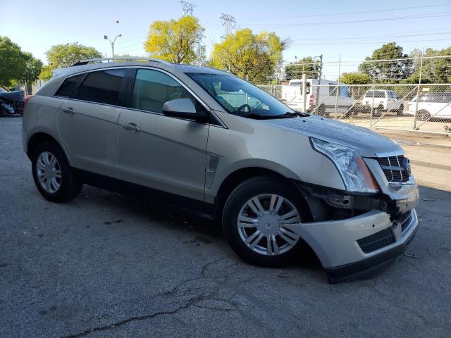 Photo 3 VIN: 3GYFNDEY8BS608937 - CADILLAC SRX LUXURY 