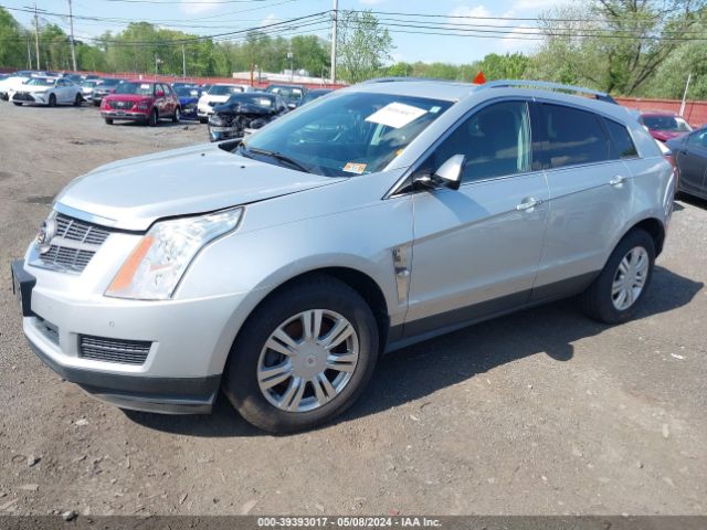 Photo 1 VIN: 3GYFNDEY8BS610879 - CADILLAC SRX 