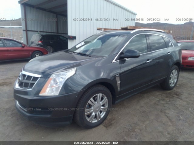 Photo 1 VIN: 3GYFNDEY9AS529288 - CADILLAC SRX 