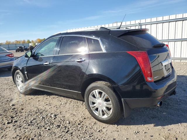 Photo 1 VIN: 3GYFNDEY9AS582265 - CADILLAC SRX LUXURY 