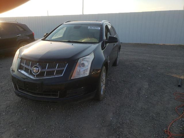 Photo 1 VIN: 3GYFNDEY9AS626930 - CADILLAC SRX LUXURY 