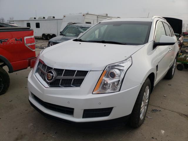 Photo 1 VIN: 3GYFNDEY9BS529955 - CADILLAC SRX LUXURY 