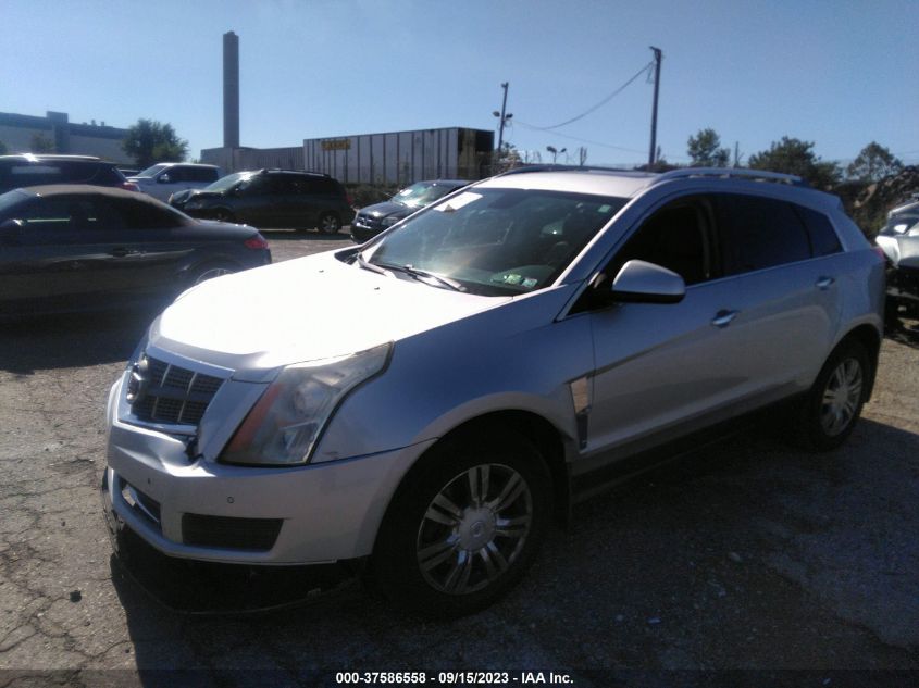 Photo 1 VIN: 3GYFNDEY9BS534119 - CADILLAC SRX 