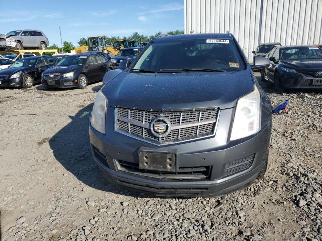 Photo 4 VIN: 3GYFNDEY9BS535724 - CADILLAC SRX LUXURY 