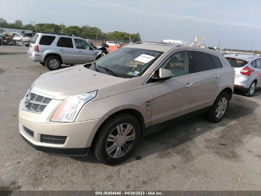 Photo 1 VIN: 3GYFNDEY9BS585197 - CADILLAC SRX 