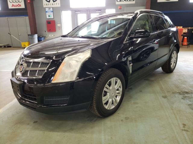 Photo 1 VIN: 3GYFNDEY9BS624127 - CADILLAC SRX LUXURY 