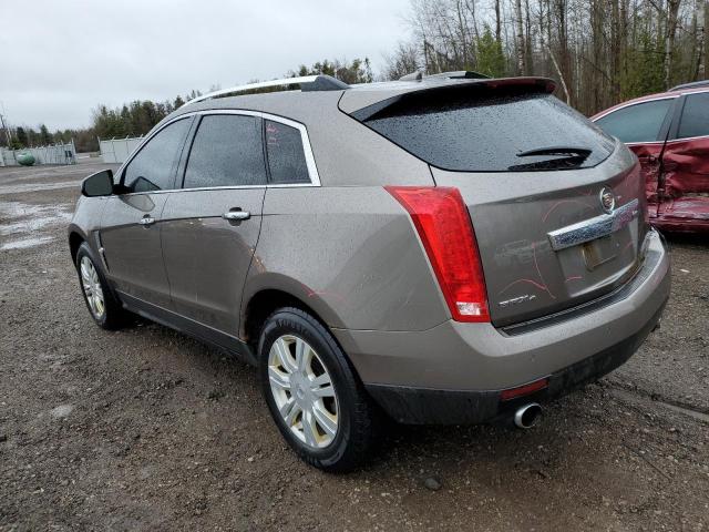 Photo 1 VIN: 3GYFNDEY9BS625116 - CADILLAC SRX 